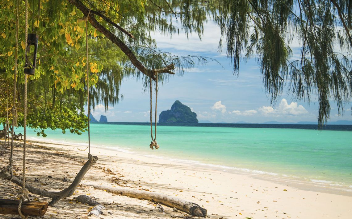 Din ce in ce mai multe meduze veninoase pe insulele turistice din Thailanda