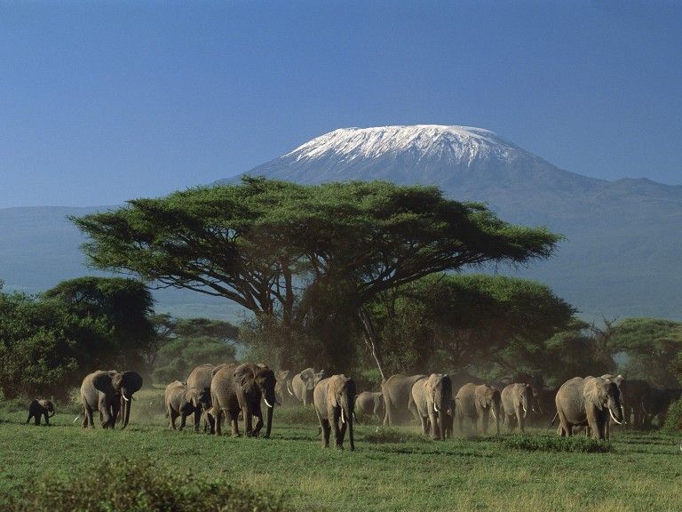 Va invitam pe taramuri de o frumusete uluitoare - Kenya!