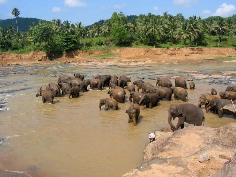 Sri Lanka, o tara plina de bogatii culturale si naturale