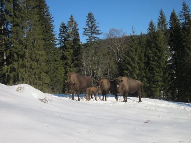 Tot mai multi turisti opteaza pentru vacante in arii protejate
