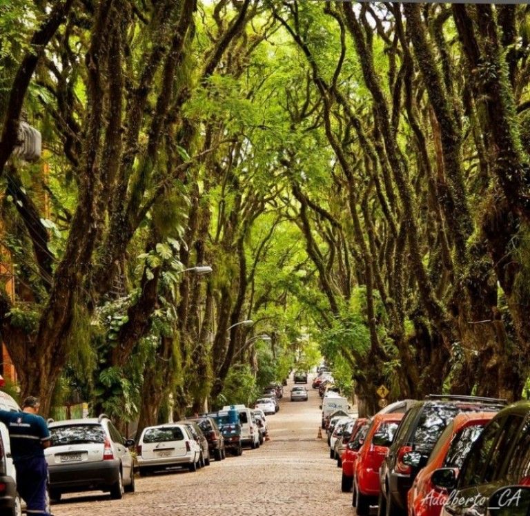 Cea mai frumoasa strada din lume (FOTO)