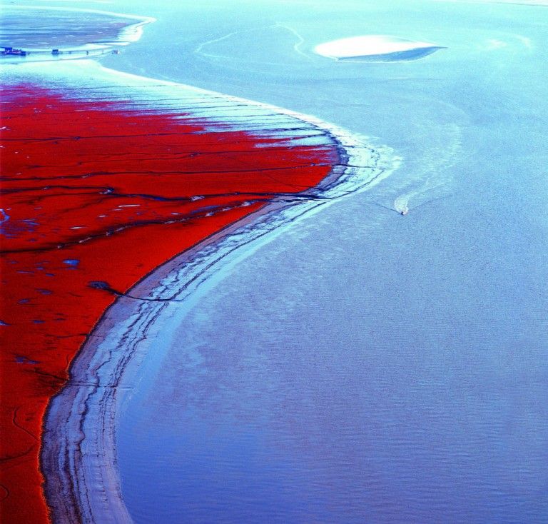 Plaja rosie din nord-estul Chinei (FOTO)