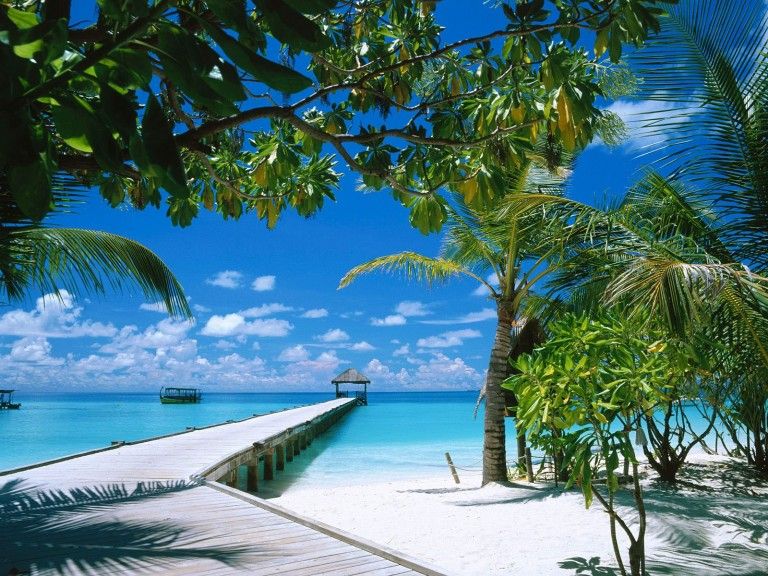 Insulele Maldive, o escapada ideala pentru prizonierii oraselor!