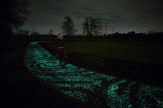 Frumusete futuristica: pista pentru biciclisti, care lumineaza in intuneric (FOTO)