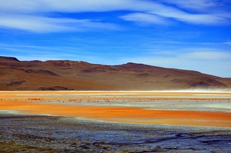 Te-ai scalda in ape atat de colorate? Laguna Rosie, Laguna Verde (FOTO)