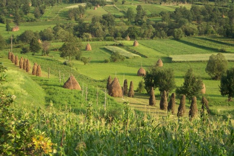 Peripetiile unei straine in vizita in Maramures