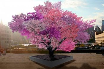 Arborele Frankenstein cu 40 de feluri de fructe