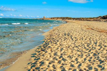 Apetitul sexual al nudistilor distruge o plaja paradisiaca