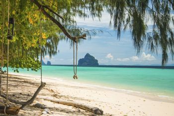 Din ce in ce mai multe meduze veninoase pe insulele turistice din Thailanda