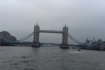 E greu de redat in cuvinte cate puteti vedea doar plimbadu-va cu ferry-boat-ul pe Tamisa! Iata lista celor mai frumoase simboluri ale Londrei, pe care le puteti admira intr-o scurta croaziera!