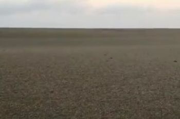Descoperire fabuloasa in Oceanul Pacific: o insula plutitoare de piatra ponce cu o suprafata de 150 km patrati