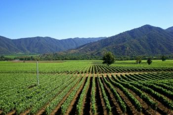 Santiago, capitala vinurilor selecte