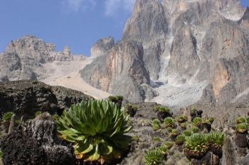 Va invitam pe taramuri de o frumusete uluitoare - Kenya! - foto 3