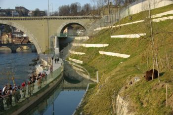 Berna: Intrati intr-o atmosfera medievala si bucolica! - foto 1