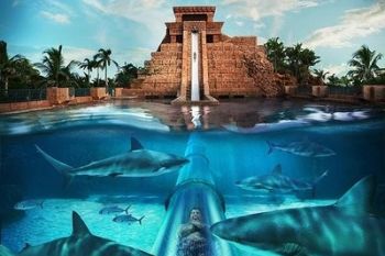 O experienta unica si terifianta: parcul de distractii din Bahamas - foto 1