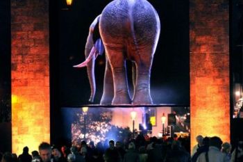 Festivalul Luminilor din Durham (GALERIE FOTO) - foto 3