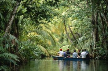 Insula Dominica, paradisul verde din Caraibe - foto 2