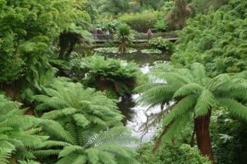 Gradinile pierdute din tinutul Heligan (FOTO) - foto 1