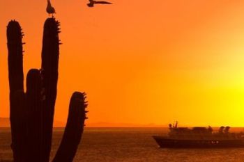 Cele mai frumoase apusuri de soare din lume (GALERIE FOTO) - foto 4