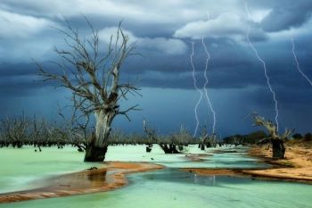 Fotografiile anului 2013 - foto 7