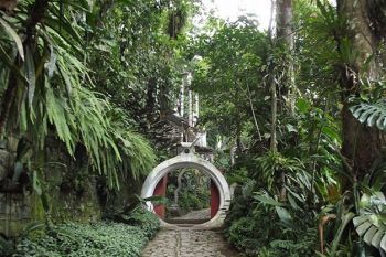 Paradisul din jungla mexicana (FOTO) - foto 3