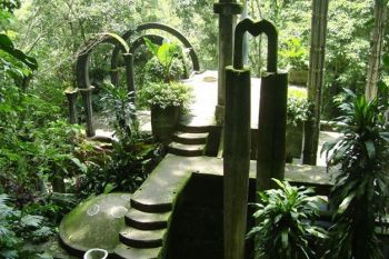 Paradisul din jungla mexicana (FOTO) - foto 6