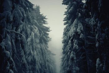 IMAGINI DE POVESTE: Pe cararile lumii - foto 6
