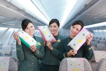 Avionul Hello Kitty vine in Europa: aeronava personalizata ajunge la Paris - foto 4