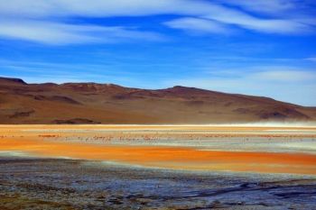 Te-ai scalda in ape atat de colorate? Laguna Rosie, Laguna Verde (FOTO)