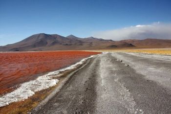 Te-ai scalda in ape atat de colorate? Laguna Rosie, Laguna Verde (FOTO) - foto 3