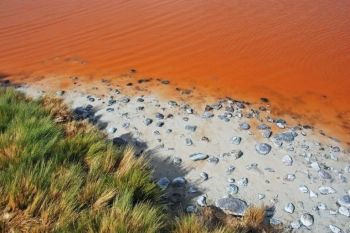 Te-ai scalda in ape atat de colorate? Laguna Rosie, Laguna Verde (FOTO) - foto 4