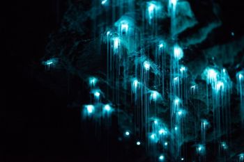 O pestera unica in lume. Cum se explica lumina stranie din interiorul grotei - foto 2