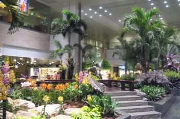 Top 10 cele mai bune aeroporturi din lume