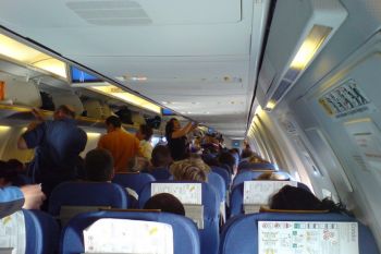 Condor - foto 4
