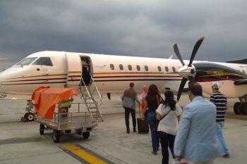 Darwin - foto 3