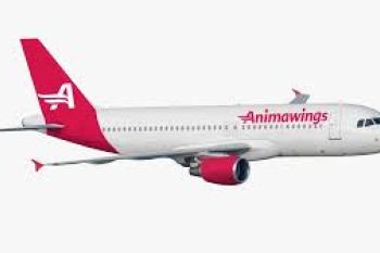 Animawings - foto 1