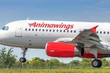 Animawings - foto 3